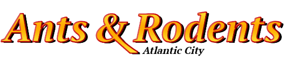 Atlantic City Ant Exterminator & Rodent Control Company Logo